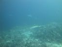 DSC00752.JPG