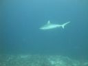 DSC00756.JPG