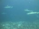 DSC00758.JPG