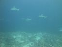 DSC00759.JPG