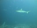 DSC00760.JPG