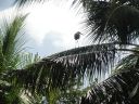 DSC00762.JPG