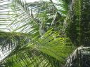DSC00763.JPG
