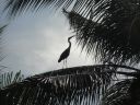 DSC00764.JPG