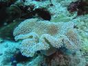 DSC00766.JPG