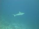 DSC00769.JPG