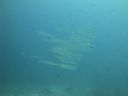 DSC00771.JPG