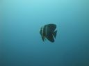 DSC00773.JPG