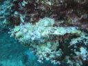 DSC00775.JPG