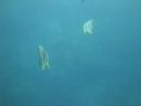 DSC00776.JPG