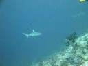 DSC00777.JPG