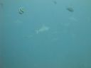 DSC00780.JPG