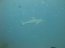 DSC00786.JPG