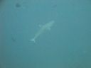 DSC00788.JPG
