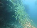 DSC00799.JPG