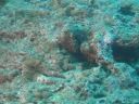 DSC00801.JPG