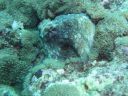 DSC00804.JPG