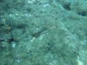 DSC00806.JPG