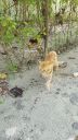 DSC00818-7.jpg