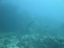 DSC00819.JPG