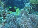 DSC00821.JPG