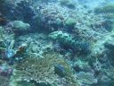 DSC00827.JPG