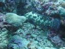 DSC00828.JPG