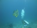 DSC00831.JPG