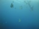 DSC00832.JPG