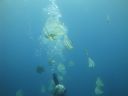 DSC00835.JPG