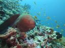 DSC00844.JPG