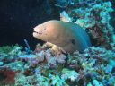 DSC00845.JPG
