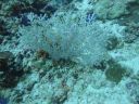 DSC00847.JPG