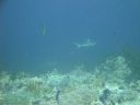 DSC00850.JPG