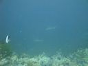 DSC00851.JPG