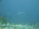DSC00852.JPG