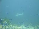 DSC00855.JPG
