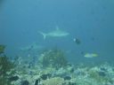 DSC00857.JPG