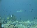 DSC00858.JPG