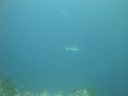 DSC00861.JPG