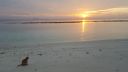 DSC00867-12.jpg