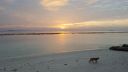 DSC00867-14.jpg