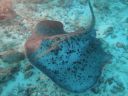 DSC00870.JPG