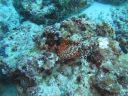DSC00872.JPG