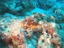 DSC00873.JPG