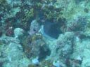 DSC00875.JPG