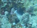 DSC00876.JPG