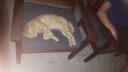 DSC00878-2.jpg