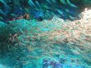DSC00878.JPG