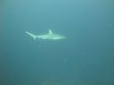 DSC00884.JPG